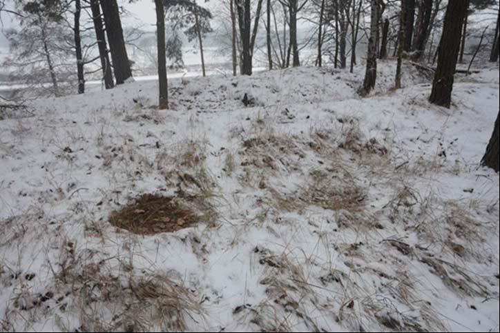 Dolnośląskie 2015. Fot. 14.