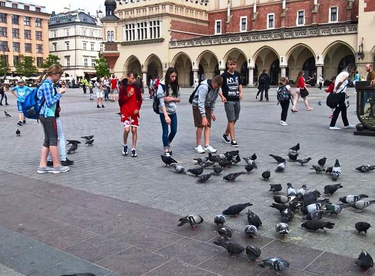 widzieliśmy tylko w podręczniku Następnie przeszliśmy uliczkami Krakowa na Rynek Główny Wysłuchaliśmy hejnału z Wieży Mariackiej, który rozbrzmiewał na cztery strony świata Śladem żółtej ciżemki