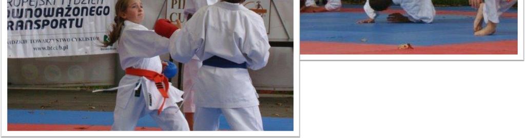 judo,