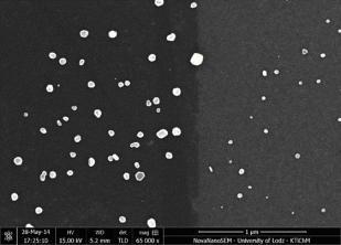 grafenem czy nanocząstkami srebra (AgNPs) [1,2].