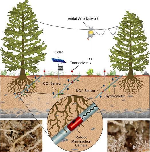 Automated Minirhizotron and Arrayed Rhizosphere Soil Sensors