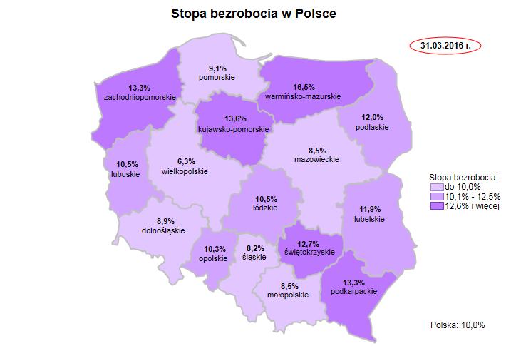 Obserwatorium Rynku Pracy, Zespół Badań i Analiz,