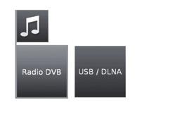 Opcje menu telewizora Funkcja Audio/Radio W sekcji Audio/Radio są dostępne pliki muzyczne z serwerów lokalnych i urządzeń pamięci masowej USB, jak również radiowe stacje DVB i internetowe.