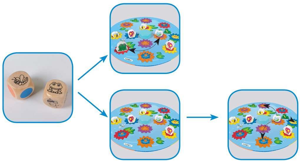 Przed rozpoczęciem gry Rzuć kostką Wybierz Umieść figurkę umieść ważkę ze zwierzętami i ważką wylosowaną figurkę na planszy na dowolnym kwiatku Zamień miejscami ważkę z żabą Kostka pokazuje ważkę i