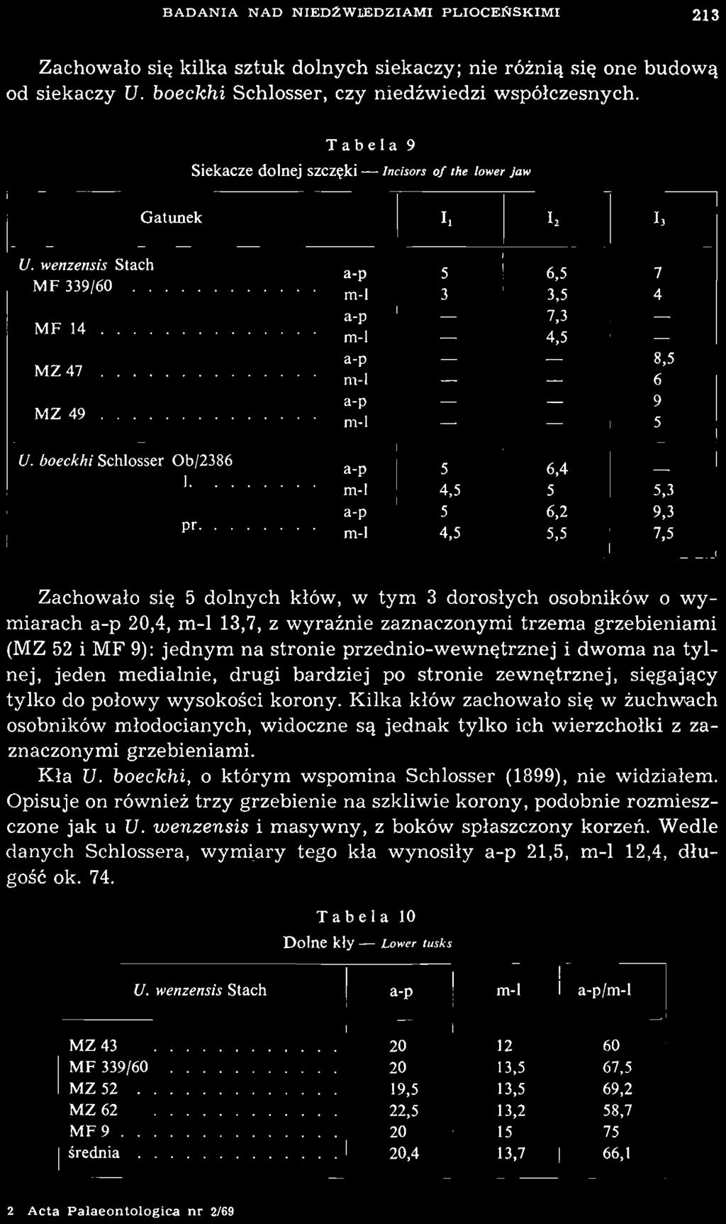 BADANA NAD NED2WLEDZAM PLOCEŃSKM 213 Zachowało się kilka sztuk dolnych siekaczy; nie różnią się one budową od siekaczy U. boeckhi Schlosser, czy niedźwiedzi współczesnych.