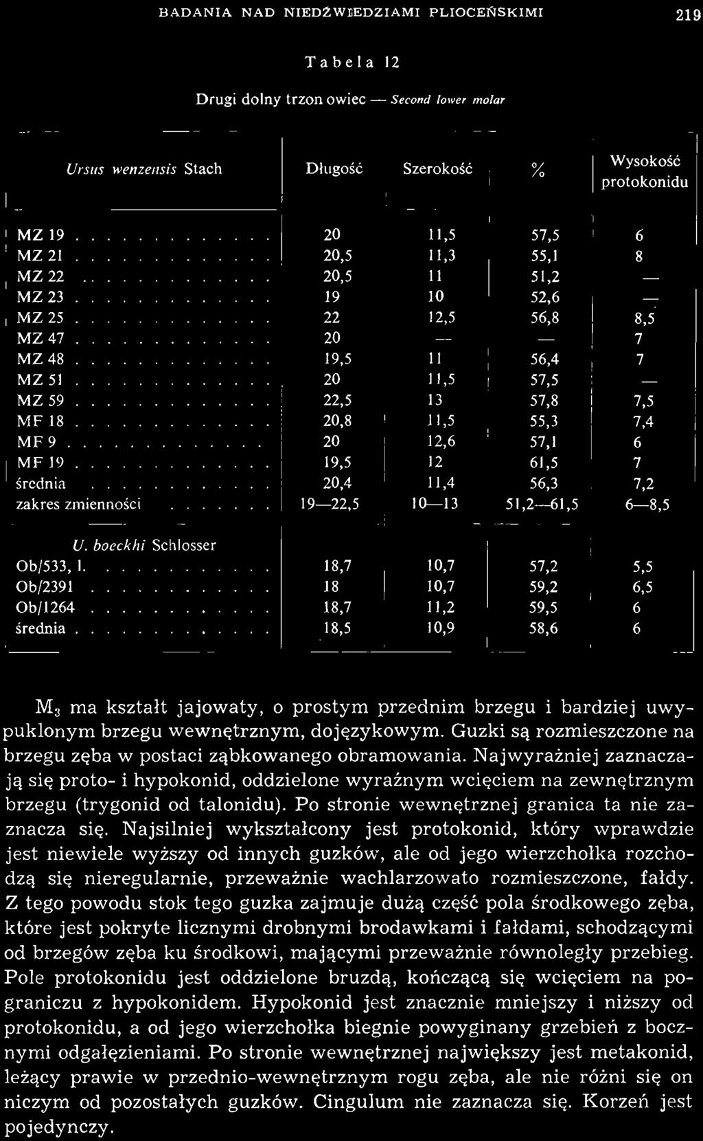 ~~--~ BADANA NAD NEDŹWTEDZAM PLOCENSKM 219 Tabela 12 Drugi dolny trzon owiec - Second lower molar Ursus wenzensis Stach - Długość i l Szerokość % Wysokość protokonidu MZ 19 20 11,5 57,5 6 MZ21 20,5