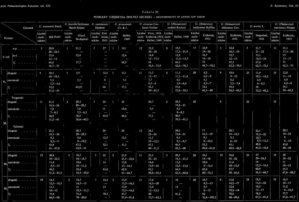 Acta Palaeontologica Polonica, vol. XV Z. Ryziewicz, Tab. 23 - T a b e a 23 POMARY UZĘBENA DOLNEJ SZCZĘK-MEASUREMENTSOF LOWER JAW TEETH U. boeckhi Schlosser U. ruscinensis U. arvernensis U.
