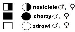 16. Rodowód przedstawia dziedziczenie choroby: a. autosomalnej dominującej, ponieważ większość dzieci jest chorych, zarówno dziewczynek jak i chłopców, b.