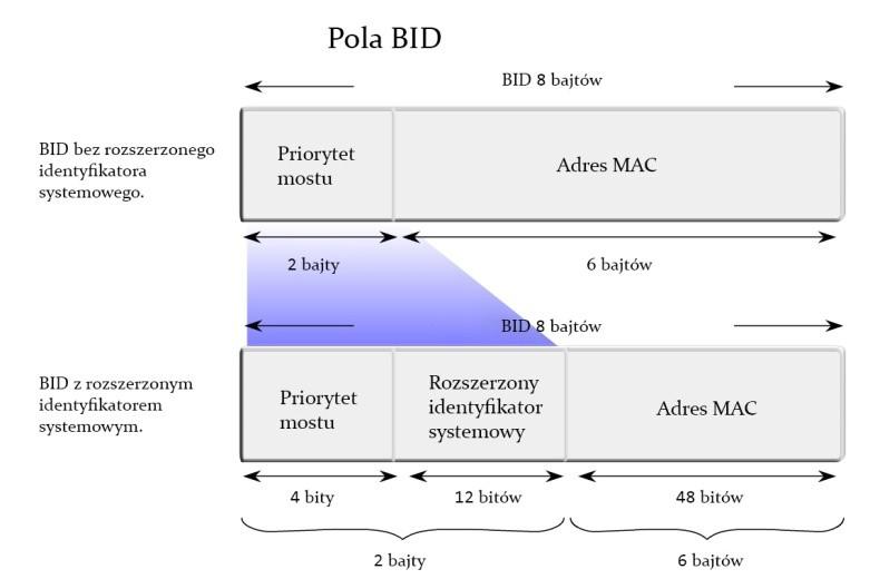 PVST (Per-VLAN Spanning-Tree) - utrzymuje po jednej instancji drzewa rozpinającego dla każdej ze skonfigurowanych sieci VLAN. Instancja ta nazywa się Single Spanning Tree / Common Spanning Tree).