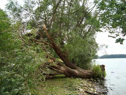 Kilka dni później anomalie pogodowe Skutki wichury ponownie sprawdziły działalność służb ratunkowych.