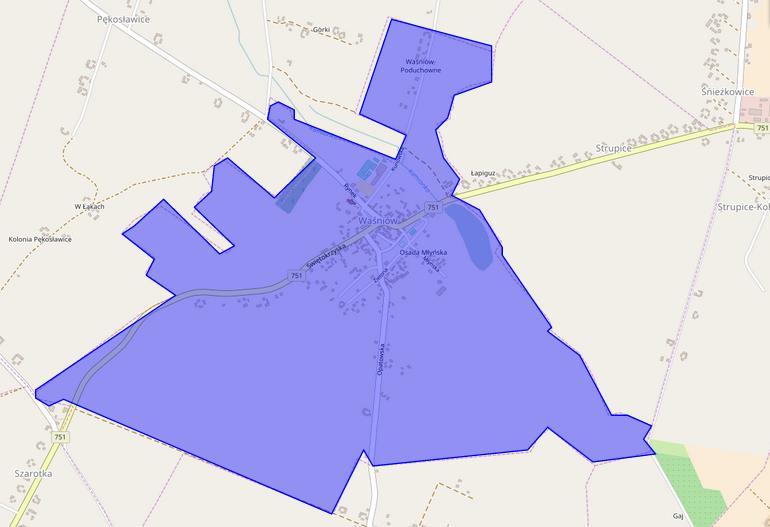 Mapa nr 11 Miejscowość Waśniów podobszar rewitalizacji nr 1 Źródło: opracowanie własne na podstawie www.geoserwis.