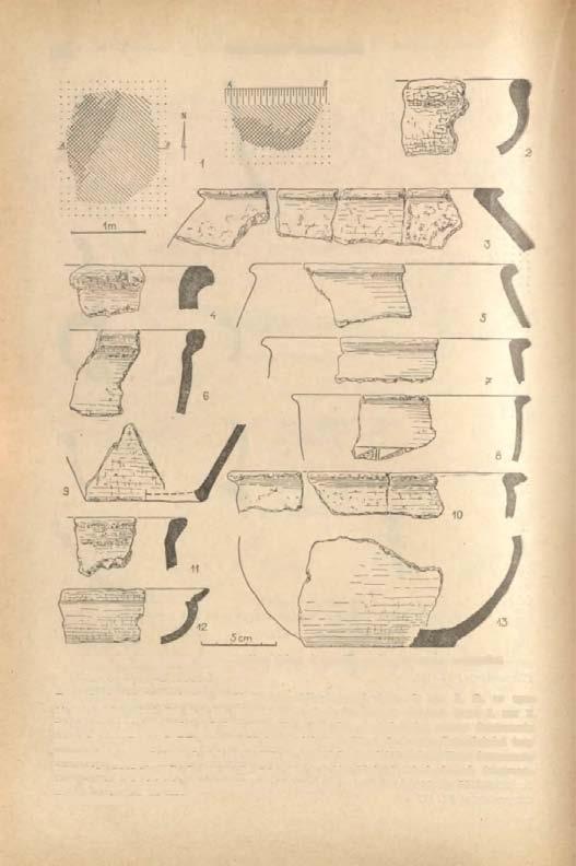 344 KRZYSZTOF DĄBROWSKI Ryc. 13. Zagorzyn, pow. Kalisz. Flan i profil grobu 12 oraz ceramika Grób 12 jamowy (ryc.