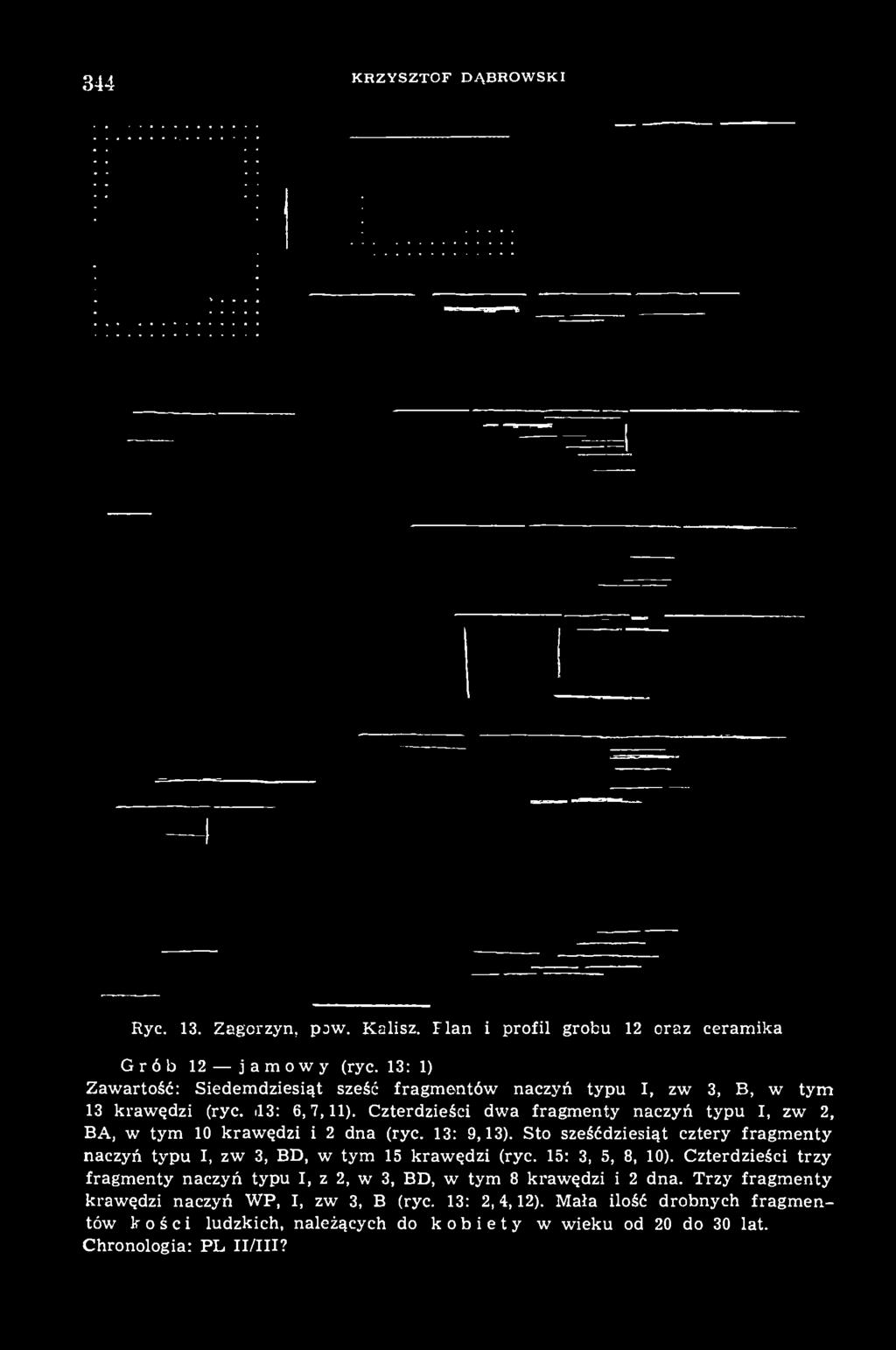 Czterdzieści dwa fragmenty naczyń typu I, zw 2, BA, w tym 10 krawędzi i 2 dna (ryc. 13: 9,13).