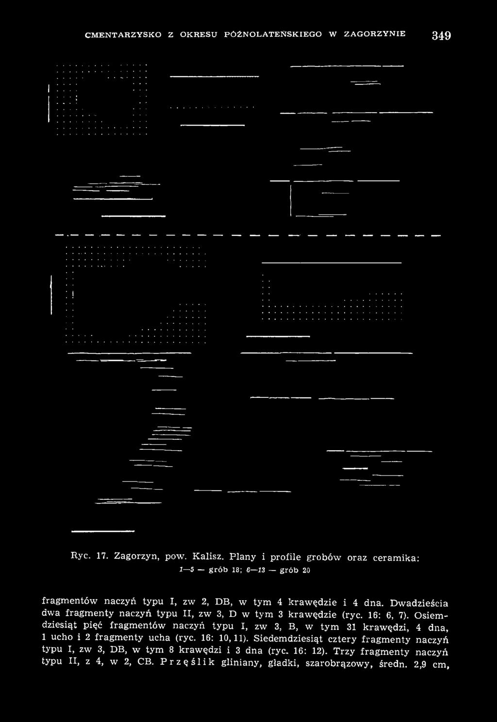 Dwadzieścia dwa fragmenty naczyń typu II, zw 3, D w tym 3 krawędzie (ryc. 16: 6, 7).