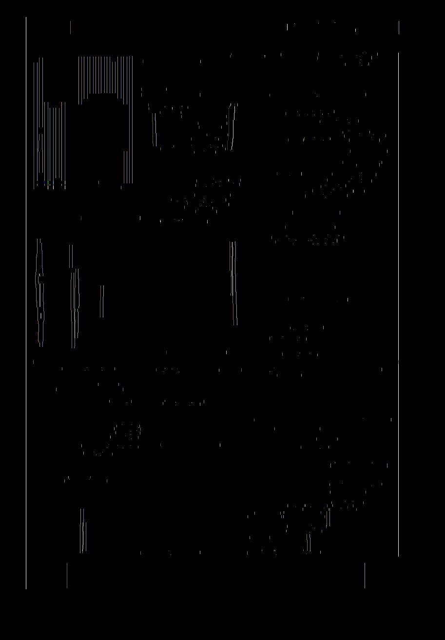 ZAGORZYNIE 357 Ryc. 22.