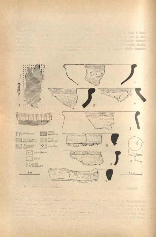 336 KRZYSZTOF DĄBROWSKI MATERIAŁY Grób 1 jamowy (ryc. 4; 5; 1) Zawartość: Dwadzieścia trzy fragmenty naczyń typu I, zw 2, BC, w tym 2 krawędzie (ryc. 5:2,5,7).