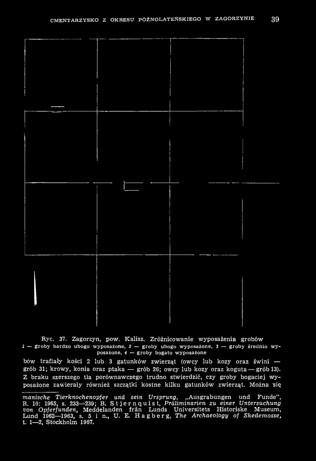 lub kozy oraz świni grób 31; krowy, konia oraz ptaka grób 26; owcy lub kozy oraz koguta grób 13).