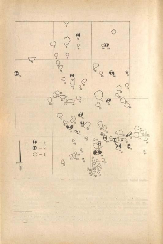 394 KRZYSZTOF DĄBROWSKI Ryc. 38. Zagorzyn, pow. Kalisz.