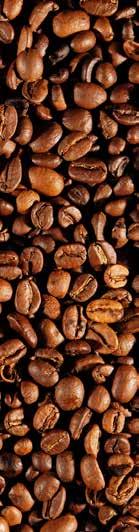 Kawa 100% Arabica Selection ziarnista eko 100% ziarna kawy Arabica* * - składnik pochodzenia ekologicznego Kawa jest hermetycznie zapakowana w światłoodpornym i wodoszczelnym opakowaniu.