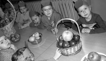 Przechodząc do jabłka w jego własnej owocowej postaci w Samorządowym Przedszkolu w Pacanowie miało ono święto w dniu 4 stycznia 2017 r. W tym dniu przedszkolaki i panie ubrane były w barwy jabłkowe.