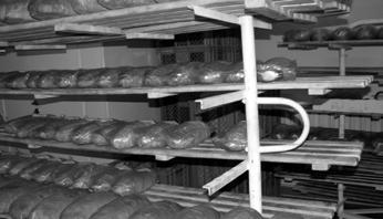 Janczarskiego Żyto i chleb, a także z historyjki obrazkowej Od ziarenka do bochenka. Który chleb jest najzdrowszy zależy od mąki, z której został wykonany.