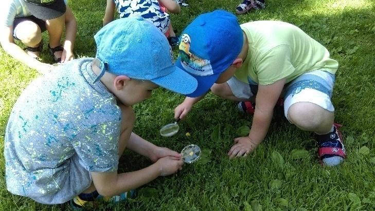 różnych owadów. Udało się poobserwować mrówki, żuki i oczywiście przyjrzeliśmy się z bliska budowie roślin w tym kory drzew.