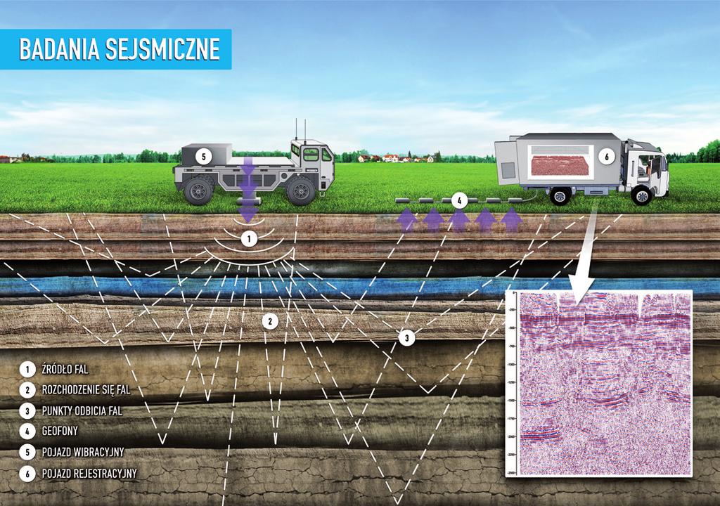 8 BADANIA SEJSMICZNE ośrodków skalnych, fale odbijają się w zróżnicowany sposób, co umożliwia odpowiednią interpretację powracającego sygnału. Zebrane dane są szczegółowo analizowane.
