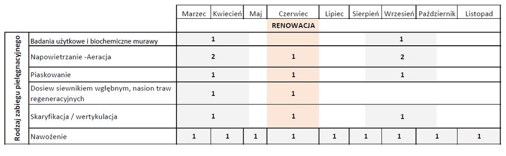 Opis zamówienia Plan zabiegów