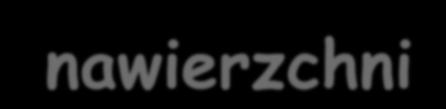 Iloraz niepewności standardowych 1 0,9 0,8 0,7 0,6 0,5 0,4 0,3 0,2 0,1 O propagacji niepewności pomiaru na ocenę stanu nawierzchni u(ex) / u(x) u(dx) / u(x) u(ex+dx) / u(x) Niepewność standardowa