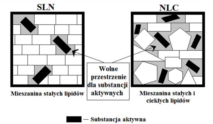 lipidowych. Rys.