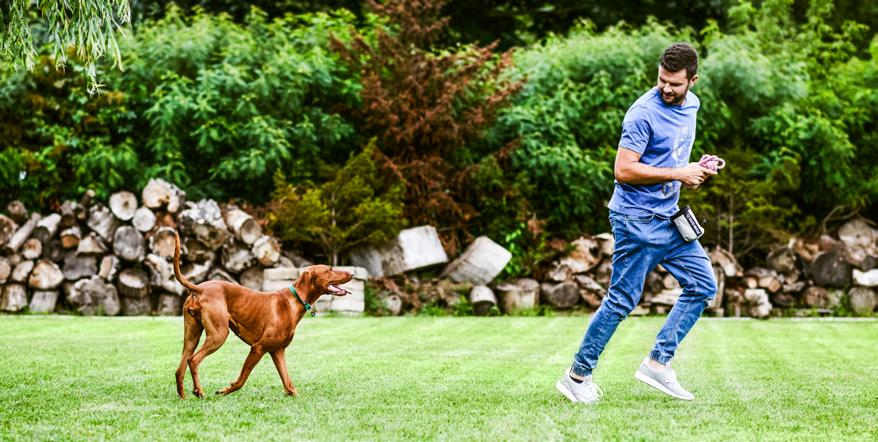 DO MNIE Jeżeli chcesz, aby Twój pies miał więcej swobody podczas spaceru i mógł węszyć po trawniku, naucz go reagowania na przywołanie.