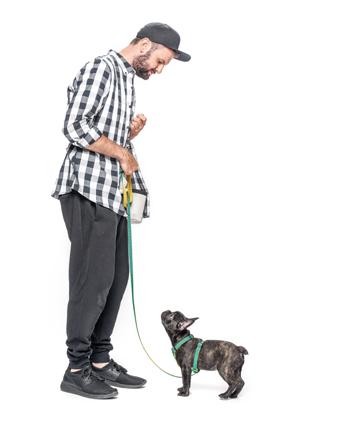 2 Utrzymaj spojrzenie psa Następny krok to nauka zatrzymania uwagi psa na dłużej, np. na ok. 6 sekund.