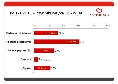 Badanie NATPOL 2011: polskie