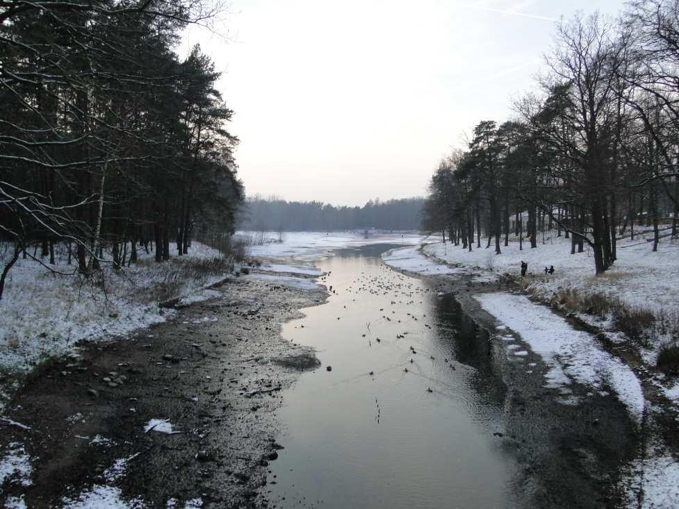 Ekohydrologiczna rekultywacja zbiorników rekreacyjnych Arturówek