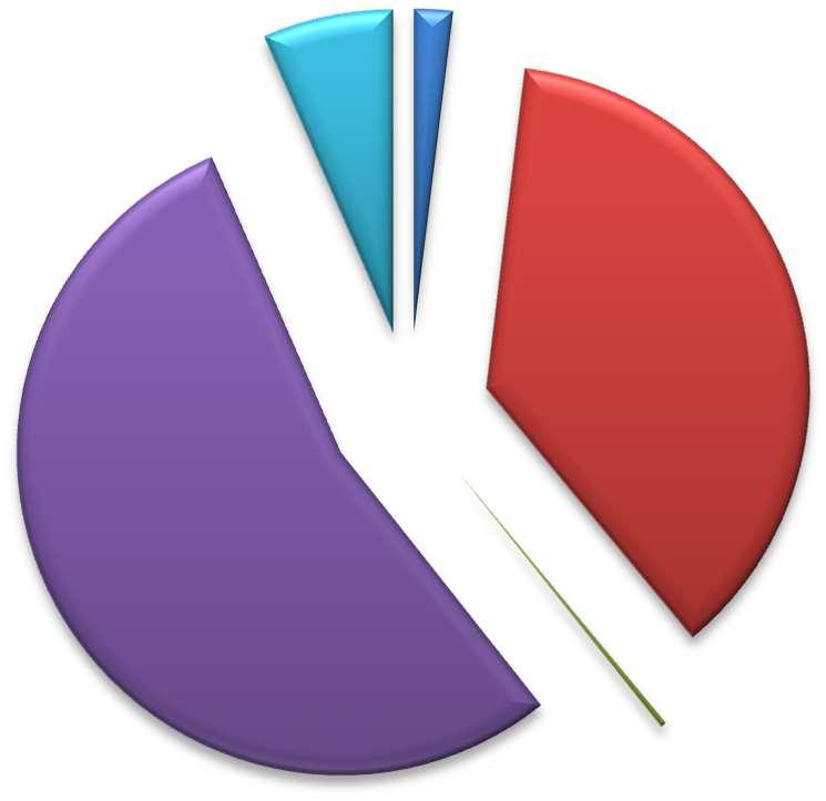 6,5% 1,9% 37,1% Budynki użyteczności publicznej Mieszkalnictwo Oświetlenie uliczne Transport 54,2% Handel, usługi i przedsiębiorstwa przemysłowe 0,3% Rysunek 11 Udział poszczególnych grup odbiorców w