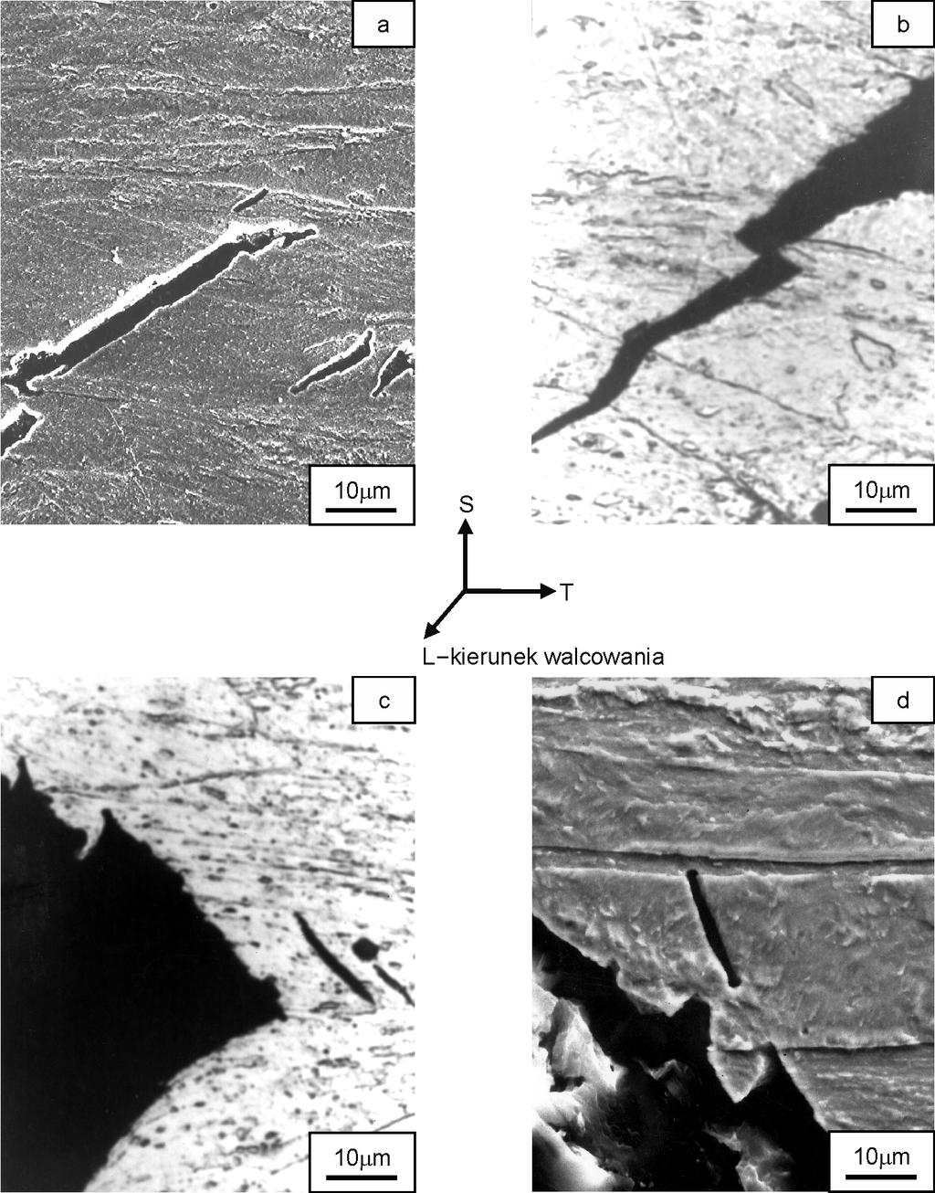 71 10 µm 10 µm 10 µm 10 µm Fot. 2.