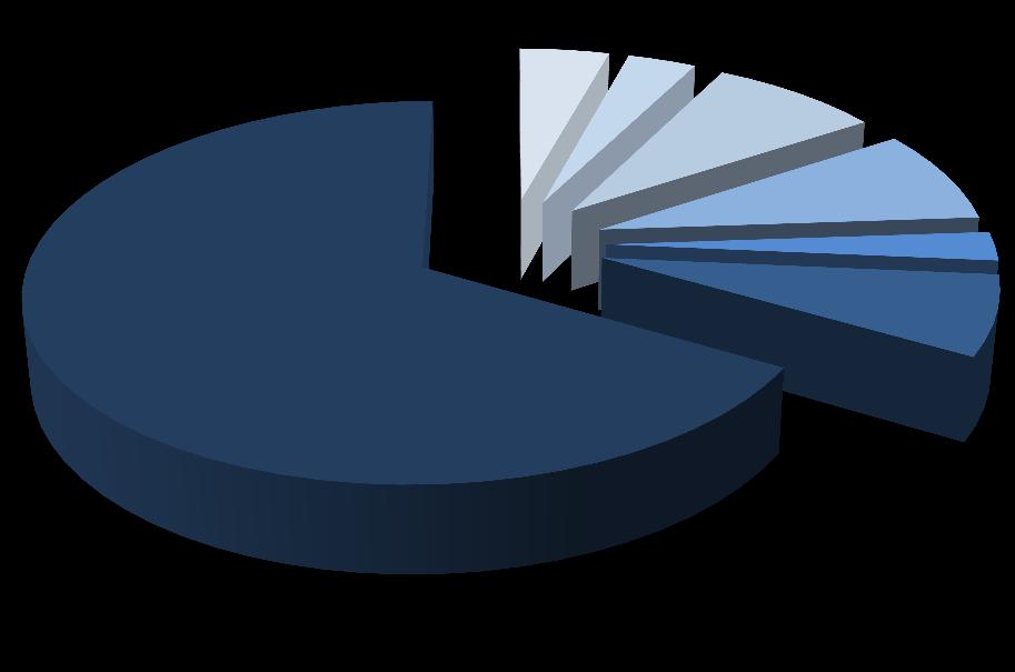 6 6 Akcjonariat Spółki na 31.12.2012 r.