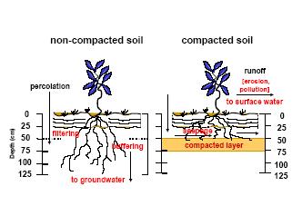 technologii uprawy roli, która negatywnie oddziałuje na stan fizyczny gleby w