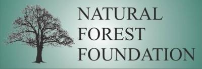 NATURAL FOREST FOUNDATION ul. Królowej Jadwigi 13/21 11-500 Giżycko Tel. 798 33 52 71 e-mail: fundacja.las.naturalny@gmail.com Giżycko dn. 18.03.2016r. Nadleśnictwo Borki ul.