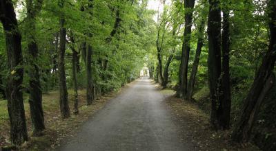 0:45 80 8 Magura węzeł szlaków 4,2 1:05 10 1:40 380 9 węzeł