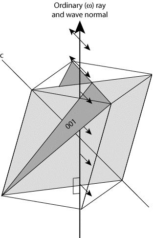 Promień zwyczajny i nadzwyczajny w krysztale jednoosiowym Promień zwyczajny W jednoosiowych kryształach kierunek drgań promienia normalnego jest zawsze równoległy do płaszczyzny