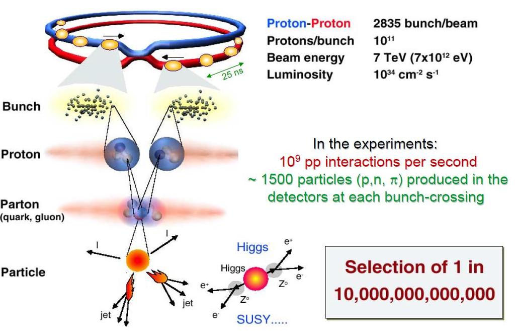 Zderzenia wiązek proton-proton Paczka protonów Proton Składniki protonu Produkty zderzeń Składniki protonu Proton-Proton 1380 paczek/wiązkę Protonów/paczka 1.