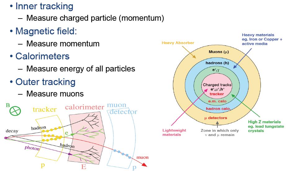 Detector