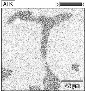 The SE image and the area