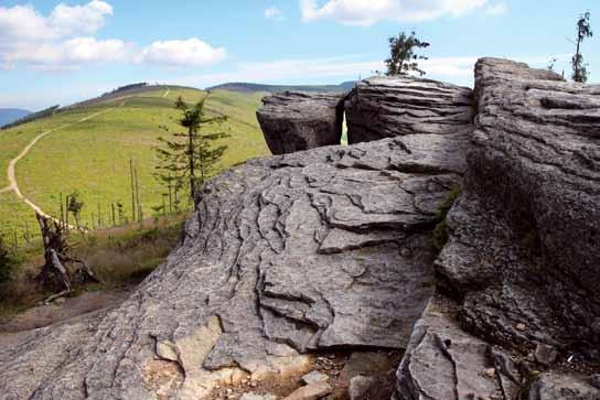 (glebowe), historyczne i związane z eksploatacją kopalin. Geostanowiskami są m.in. naturalne odsłonięcia geologiczne, formy rzeźby terenu (np.