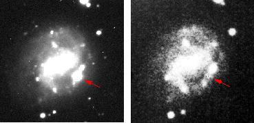 Nowa Supernowa SN1998bw 1998.04.