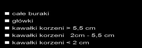 podczas zbioru kombajnami 6-rzędowymi - straty