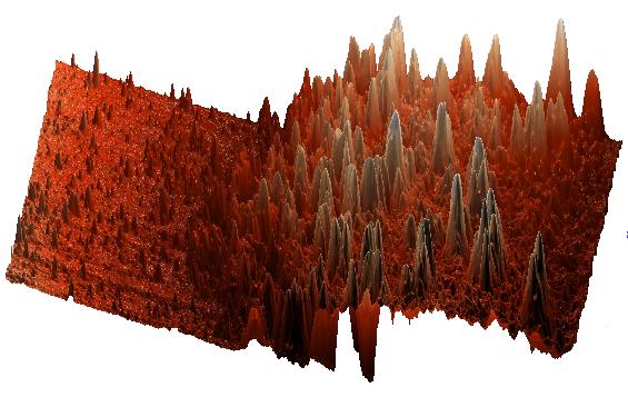 - 99 - Rysunek 63. Topologia aktywnego obszaru gotowej powierzchni krzemu z naniesionymi na nią nanocząstkami złota zmierzona na mikroskopie sił atomowych w trybie bezkontaktowym.