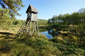 Stara leśniczówka była rodzinnym domem piewcy Mazur. Urodził się tutaj w 1887 r. W dzieciństwie opuścił Mazury. Mieszkał w Królewcu, potem w Berlinie, a w 1933 r. osiadł w Bawarii.