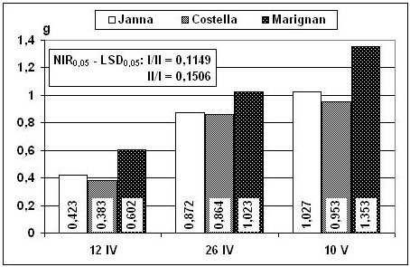 Sucha masa 1 rośliny w fazie 4-5 liści w zaleŝności od odmian i terminu siewu (2000-2003) Fig 2.